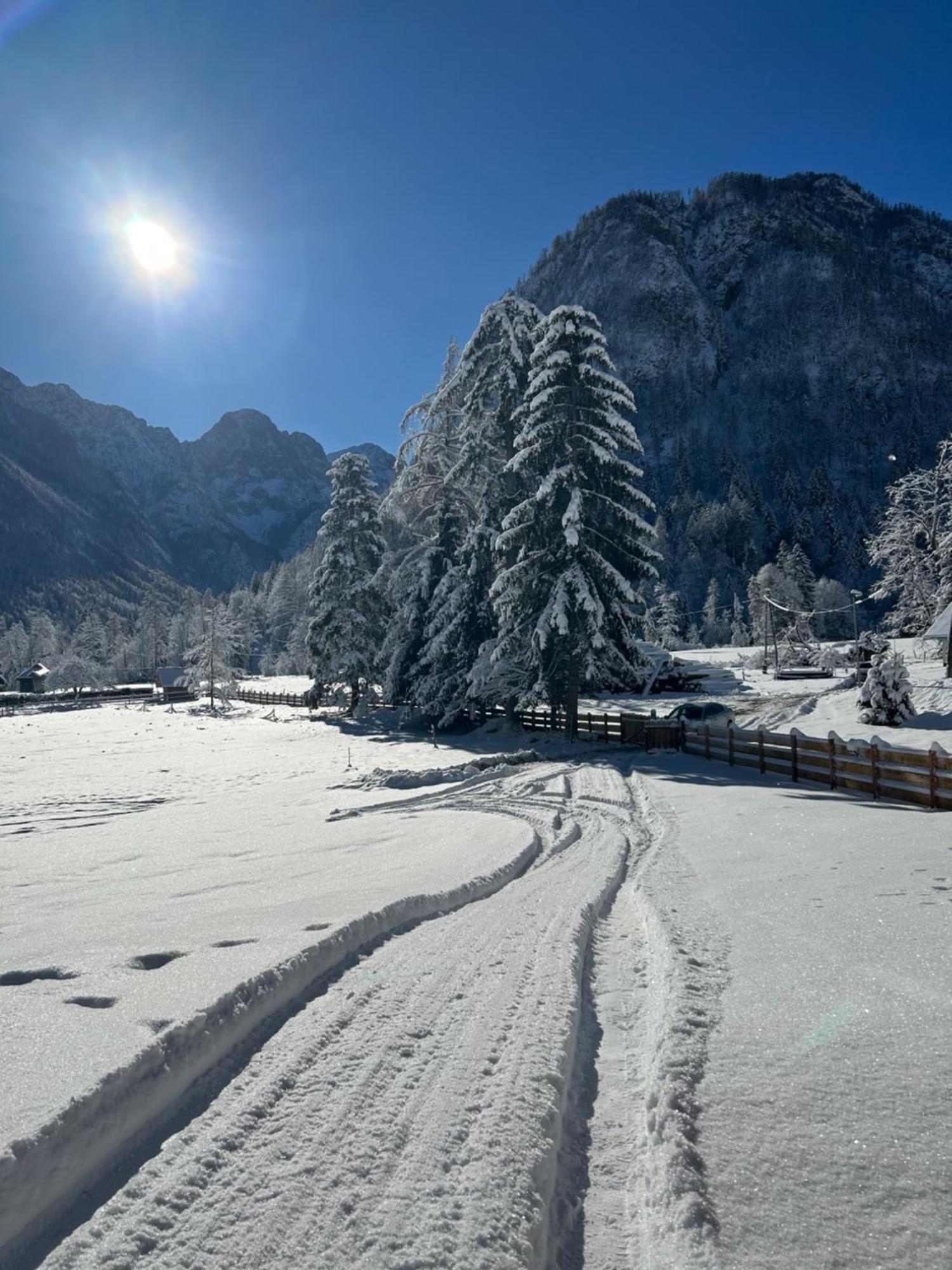 Radovna Chalet With Panoramic View Mojstrana Buitenkant foto